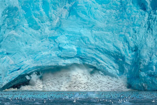 Photo de l iceberg et les oiseaux volants autour