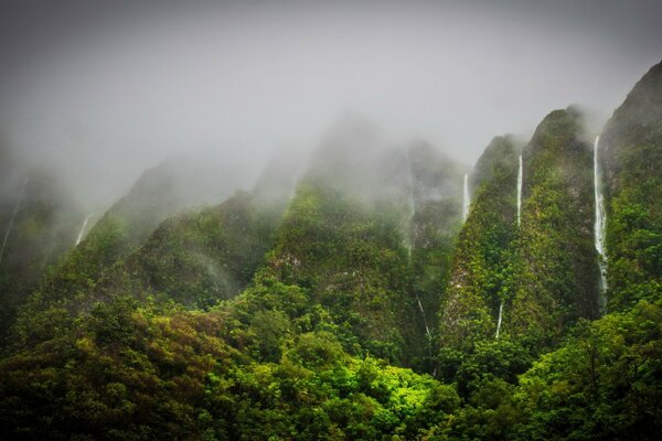 Niebla entre montañas y cascadas