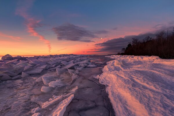 Inverno betulla lago all alba