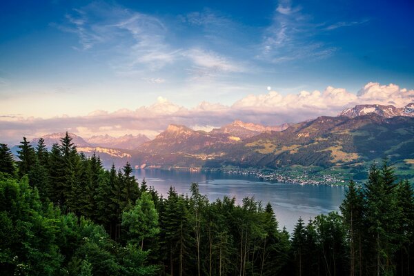 El lago de Zúrich en Suiza y la naturaleza