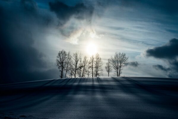 Arbres sur la colline, avec la lune