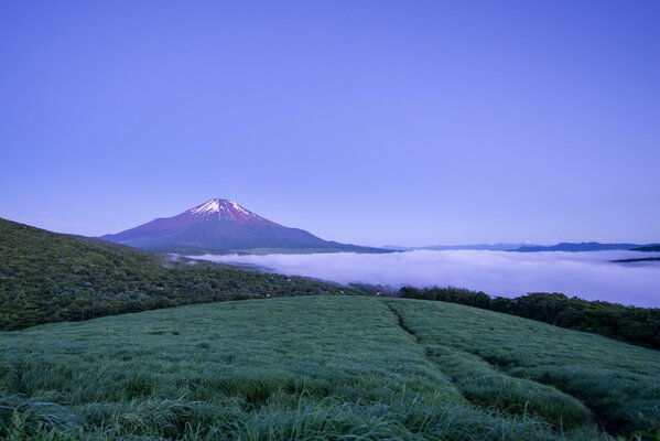 A field of green grass on the background of a volcano