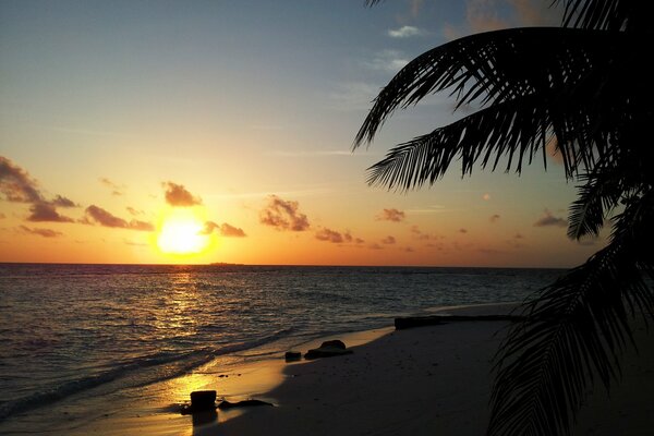 Sonnenuntergang am Strand. Sonnenuntergang auf den Malediven am Strand