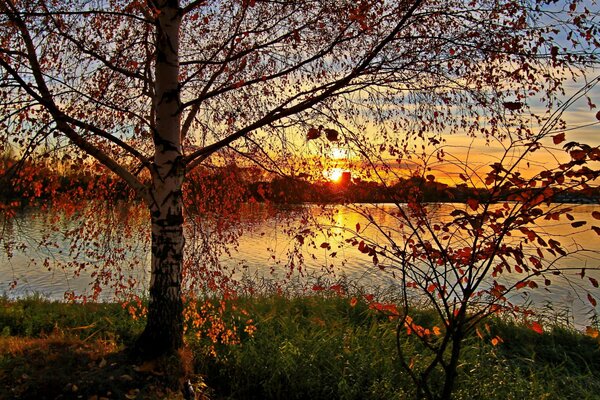 Puesta de sol de otoño sobre el lago y árboles casi sin hojas