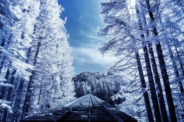 Ferrocarril en el bosque de invierno