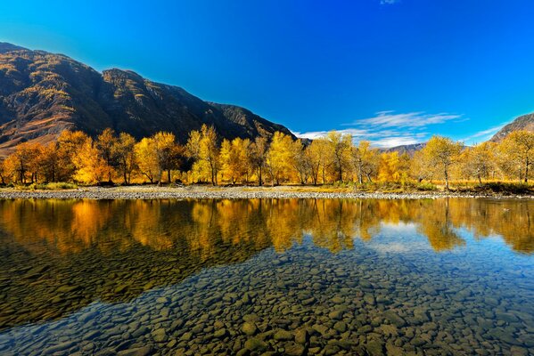 The autumn forest is reflected in the lake