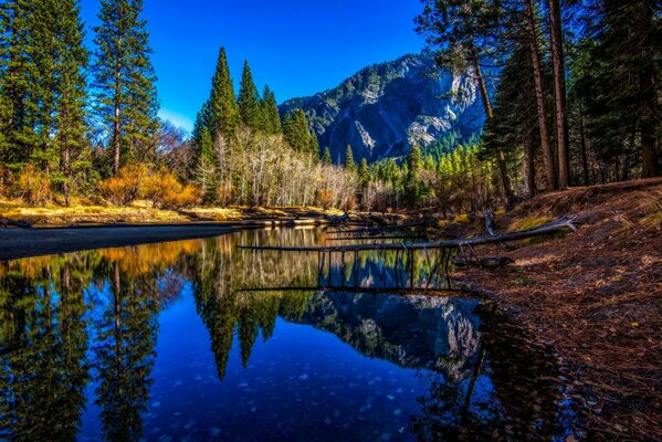 Fluss im Yosemite Nationalpark