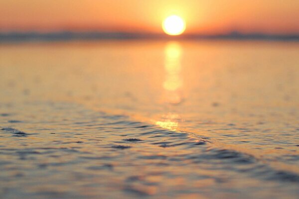 Солнце отражается на неспокойном полотне воды
