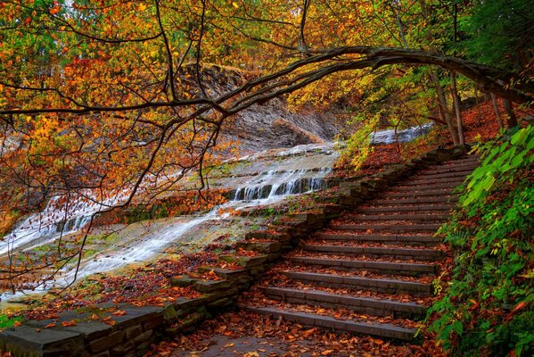 Cascada con escaleras en el parque de otoño