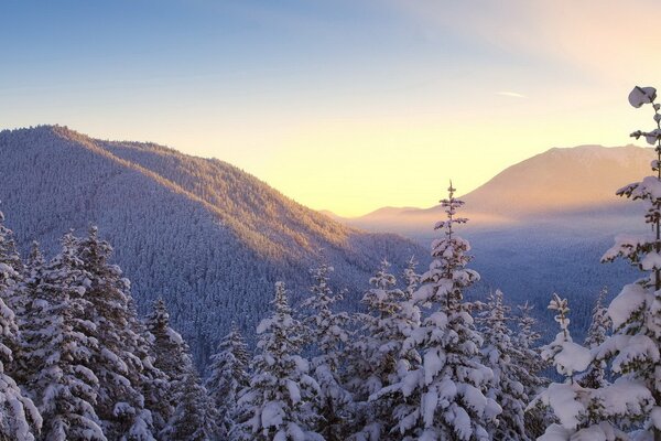 Paisaje de montañas con árboles en invierno