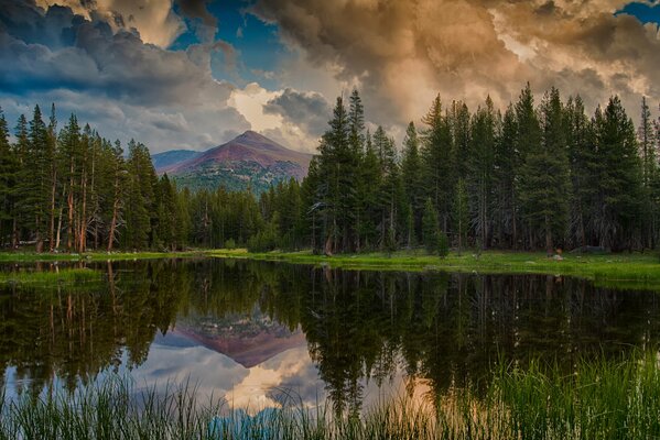 Paysage forestier avec lac au premier plan et montagnes à l arrière