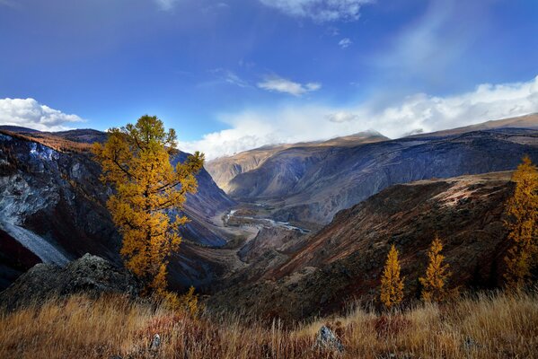 Schöner Herbst im Altai-Gebirge