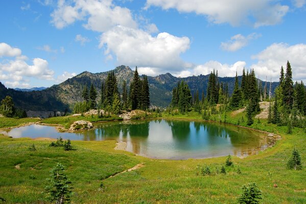 Lago hierba cielo nubes