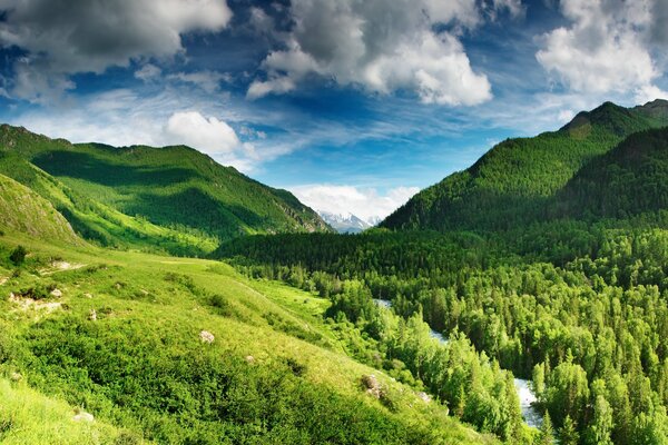 A river among trees and mountains against a blue sky with clouds