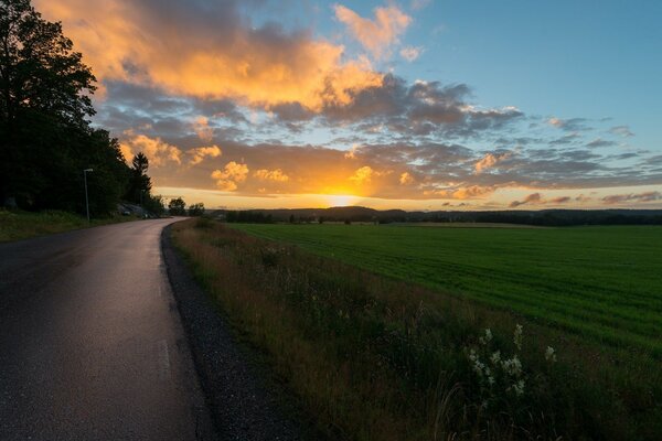 Coucher de soleil dans le champ, beaux nuages dans le ciel