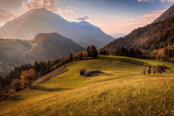 Märchenhafte Landschaft der Wiesen am Wald am Hang des Berges