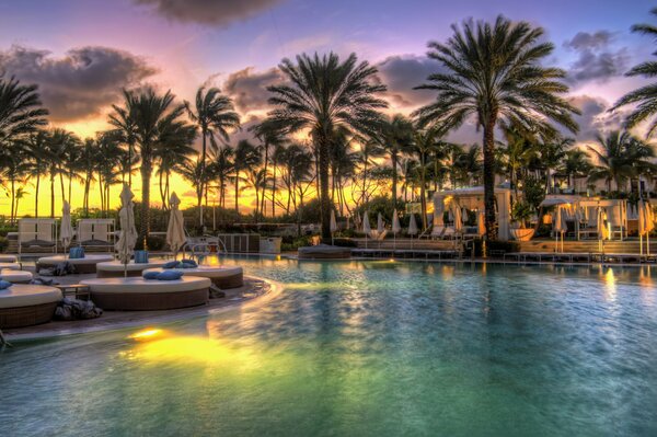 Palmeras junto a la piscina contra el cielo al atardecer