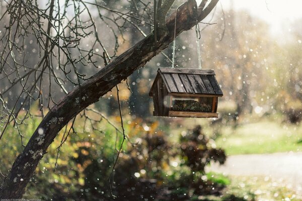 La nieve cae sobre una pajarera en un árbol