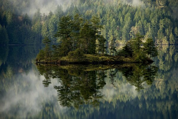 Die Insel und ihre Reflexion im Wasser. Im Hintergrund ist ein nebelverhangener Wald