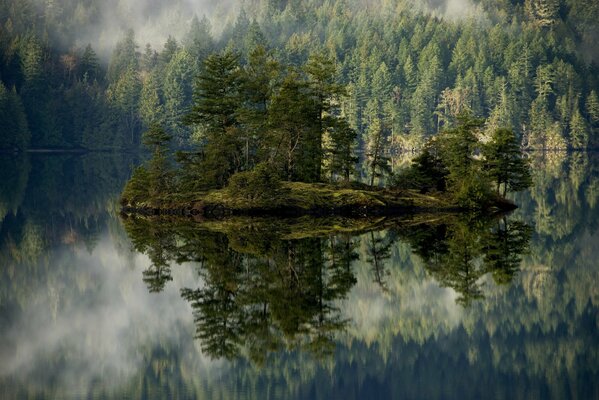 L île et son reflet dans l eau. En arrière - plan, une forêt étouffée par le brouillard