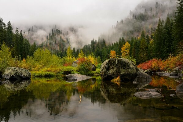 Nebel zwischen Wald und See