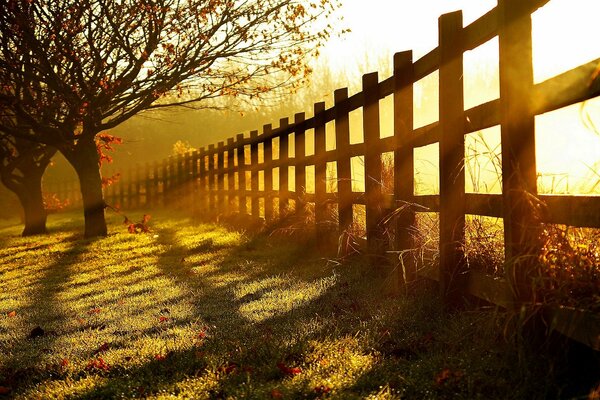 I raggi del tramonto cadono attraverso la recinzione a terra