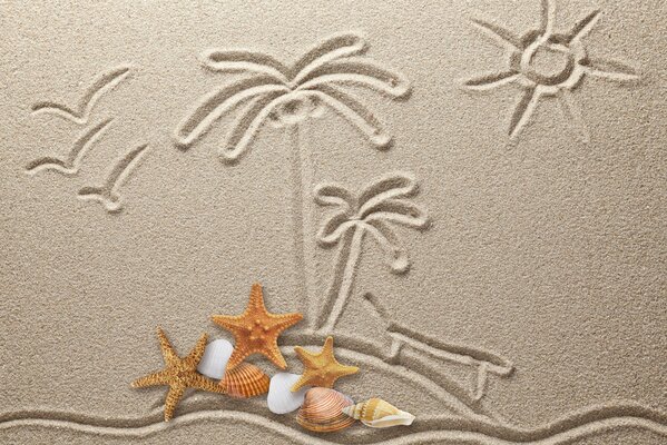 The drawing on the sand is decorated with shells