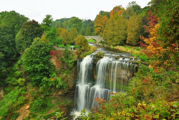 Cascada de otoño. Paisaje de otoño