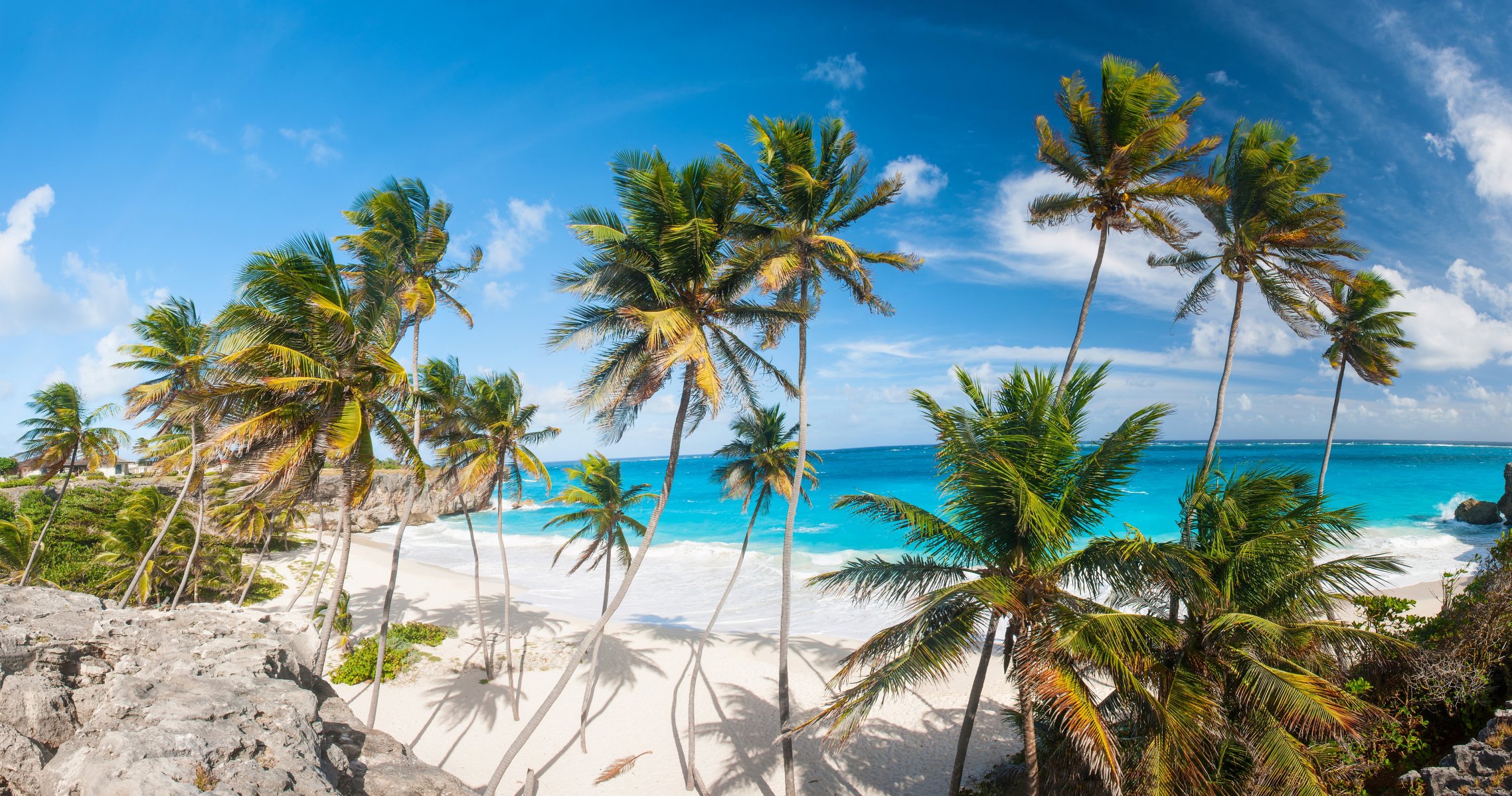 tropical paradise beach coast sea blue emerald ocean palm summer sand vacation tropics sun island shore palm tree