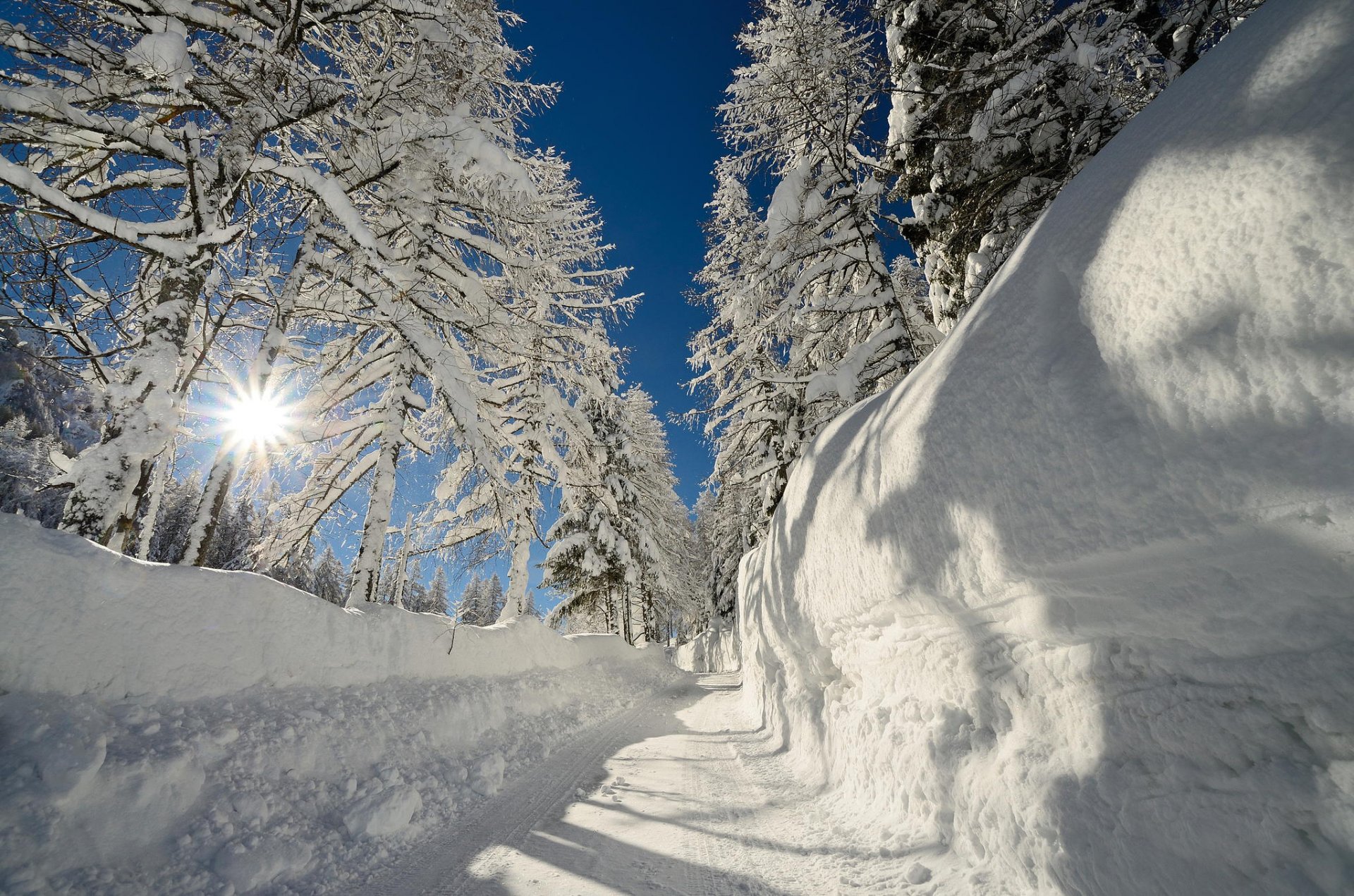 gelo sole cumuli di neve neve alberi