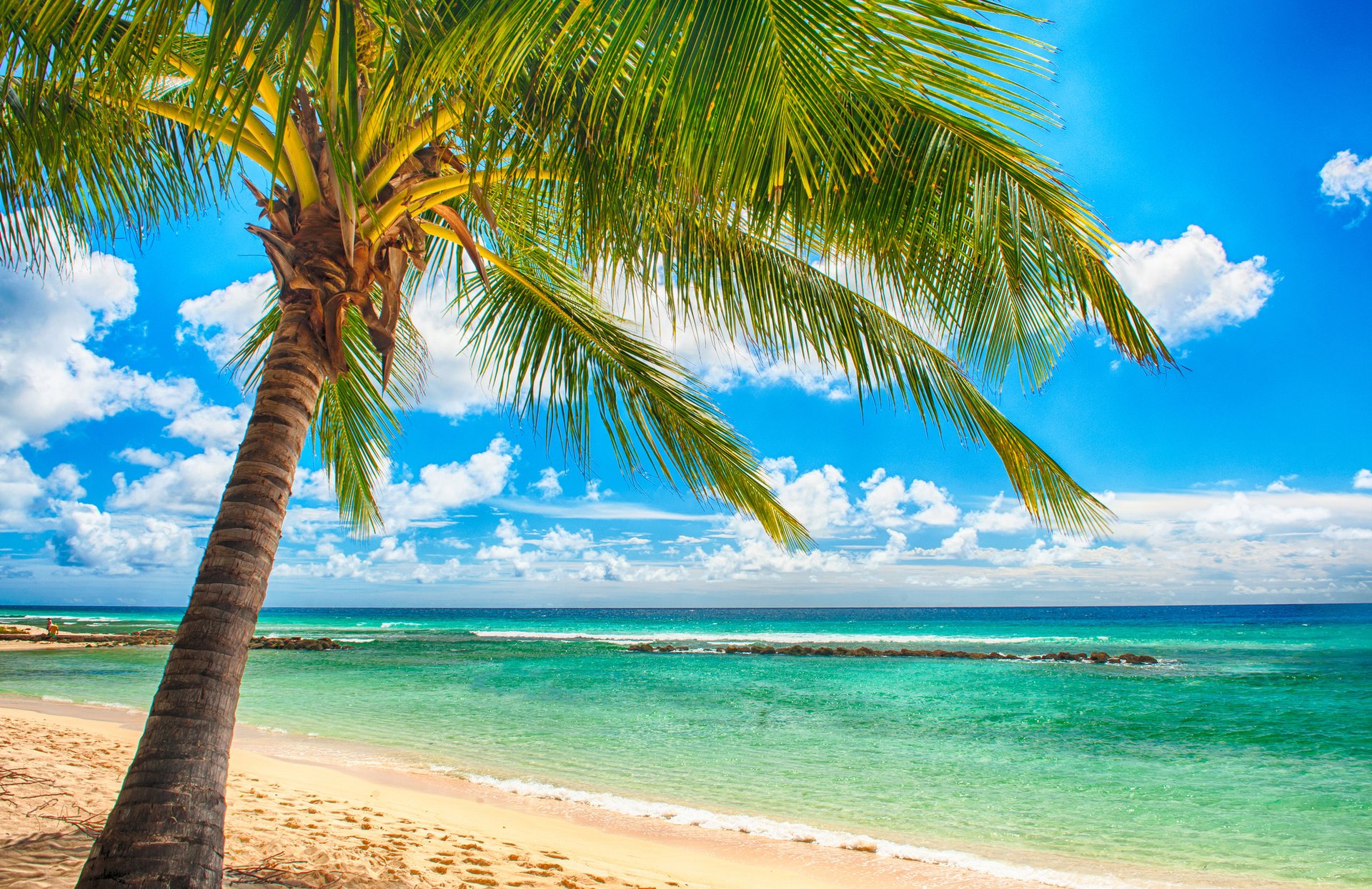 tropical paradis plage palmiers mer océan soleil été vacances tropiques sable rivage