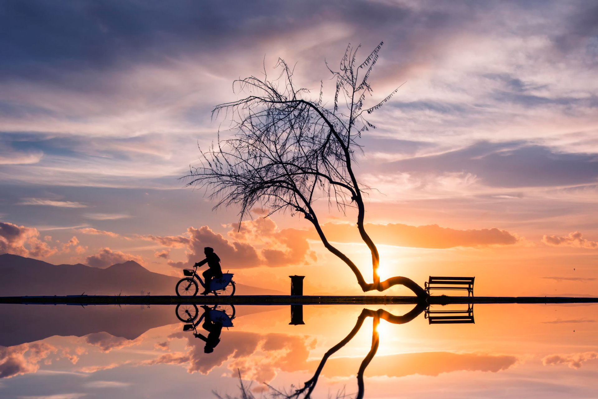 unset tree a woman bike silhouettes reflection