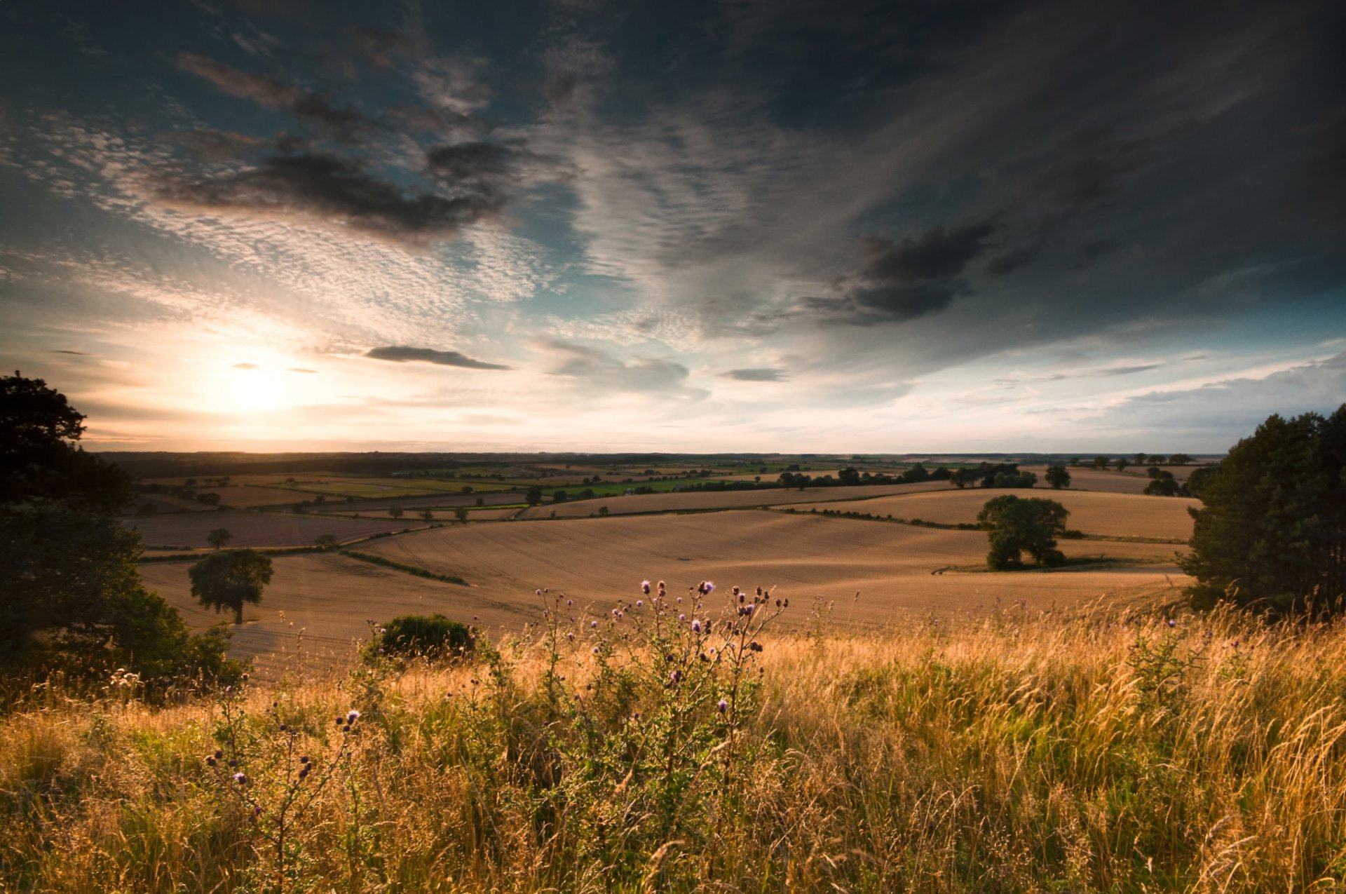 natur feld bäume himmel wolken