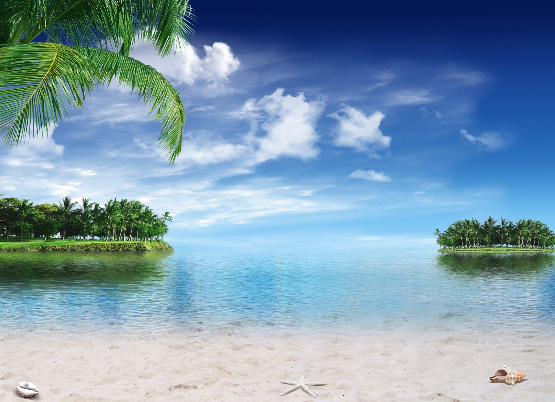 tropical paradise beach palms sea ocean sunshine summer vacation palm tropics sand