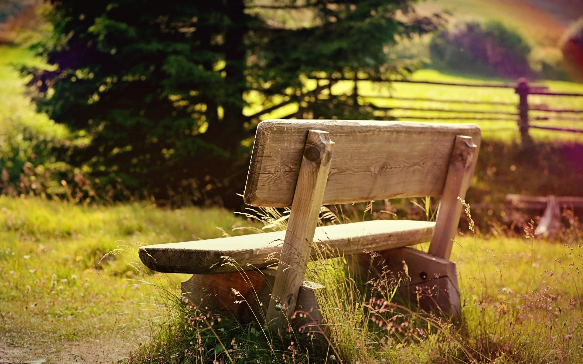 mood nature bench bench bench bench grass greenery tree trees field fence fence sun day background poster leaves leaves wallpaper widescreen fullscreen widescreen