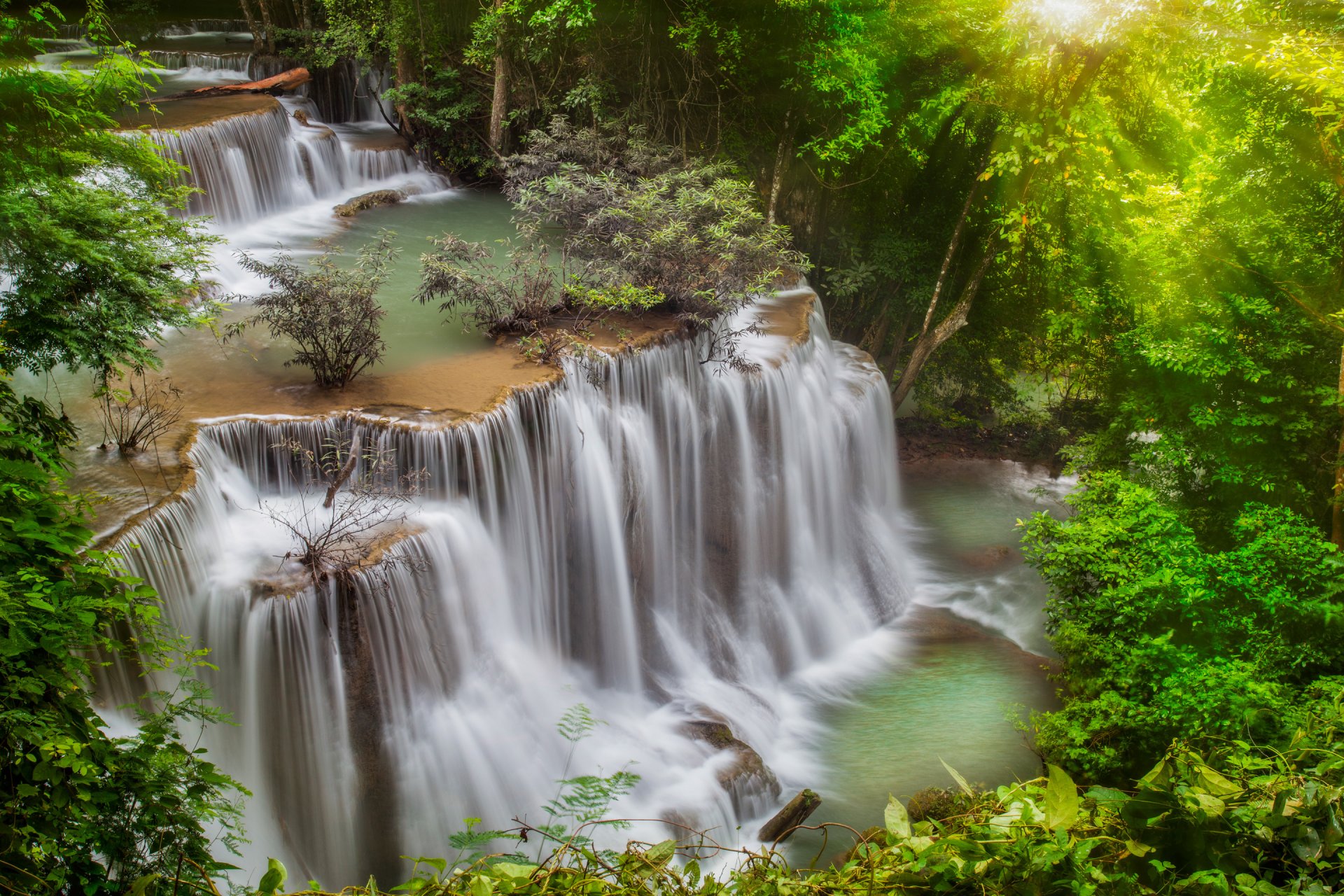 thailand forest jungle river waterfall stage feed tree stones processing