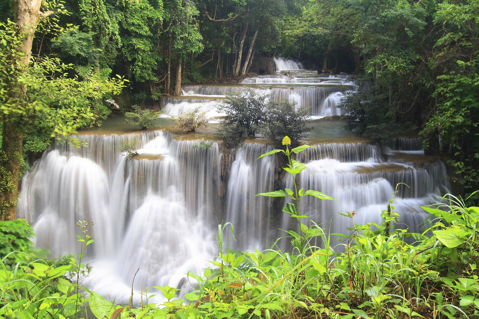 thailand forest jungle river waterfall stage feed tree stone