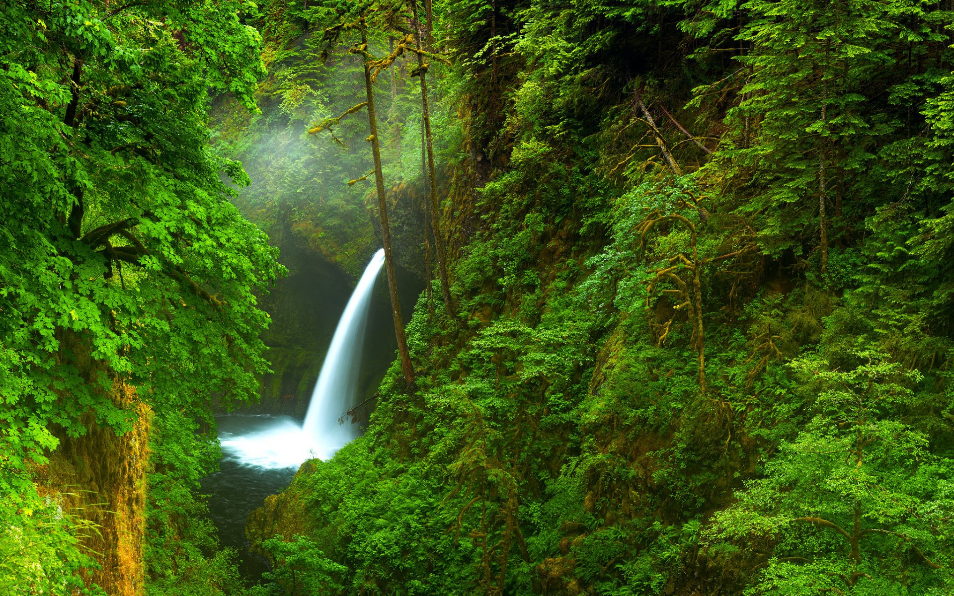 usa oregon wodospad rzeka wąwóz las drzewa natura