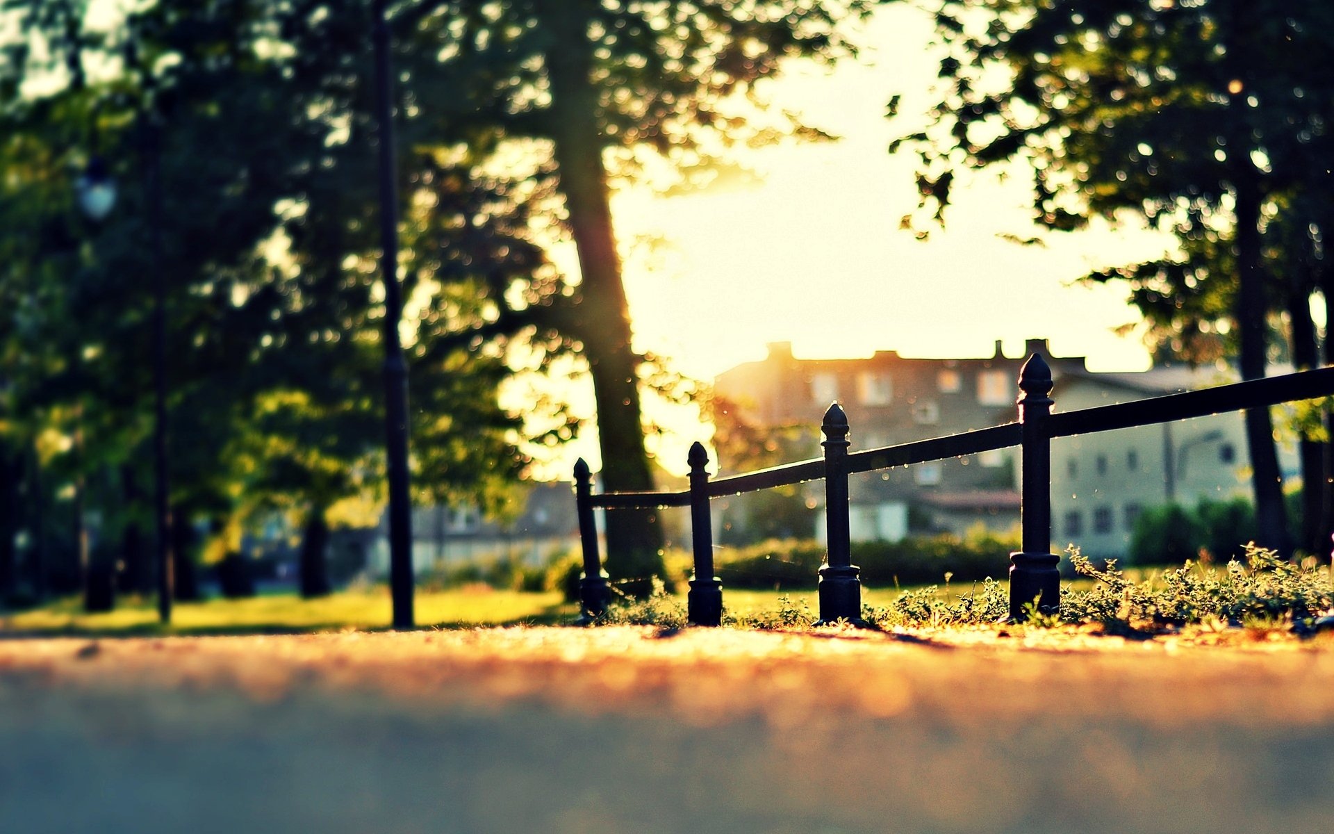 natur makro bäume schön baum zaun zaun sonne tag haus haus park grün wiese gras bokeh unschärfe tapete widescreen vollbild widescreen hintergrund widescreen blätter l