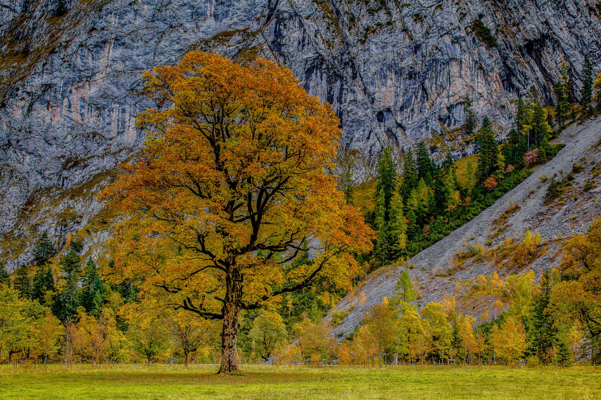 karwendel österreich alpen herbst bäume