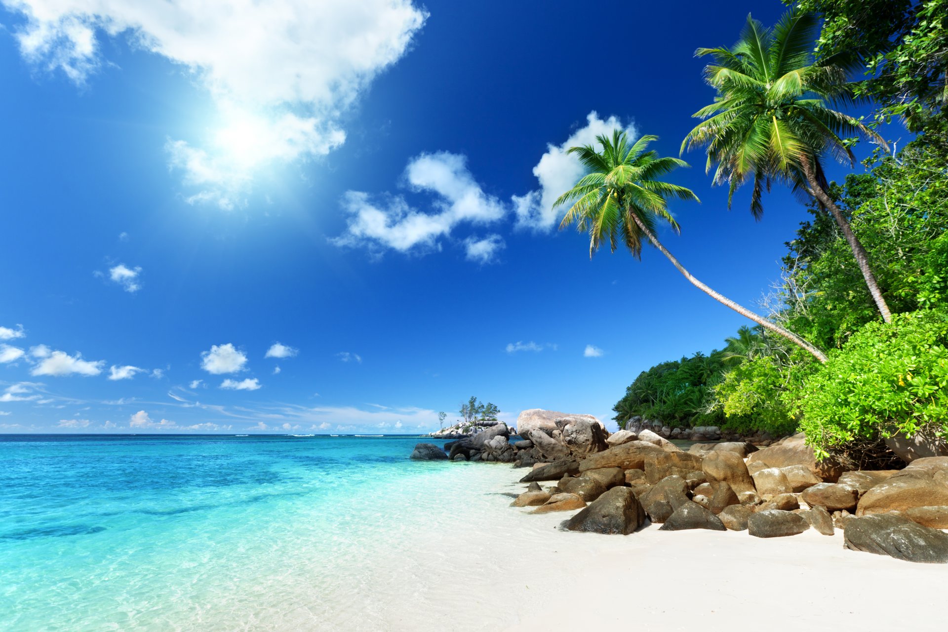 tropical paradise beach palms sea ocean sunshine summer vacation palm tropics sand