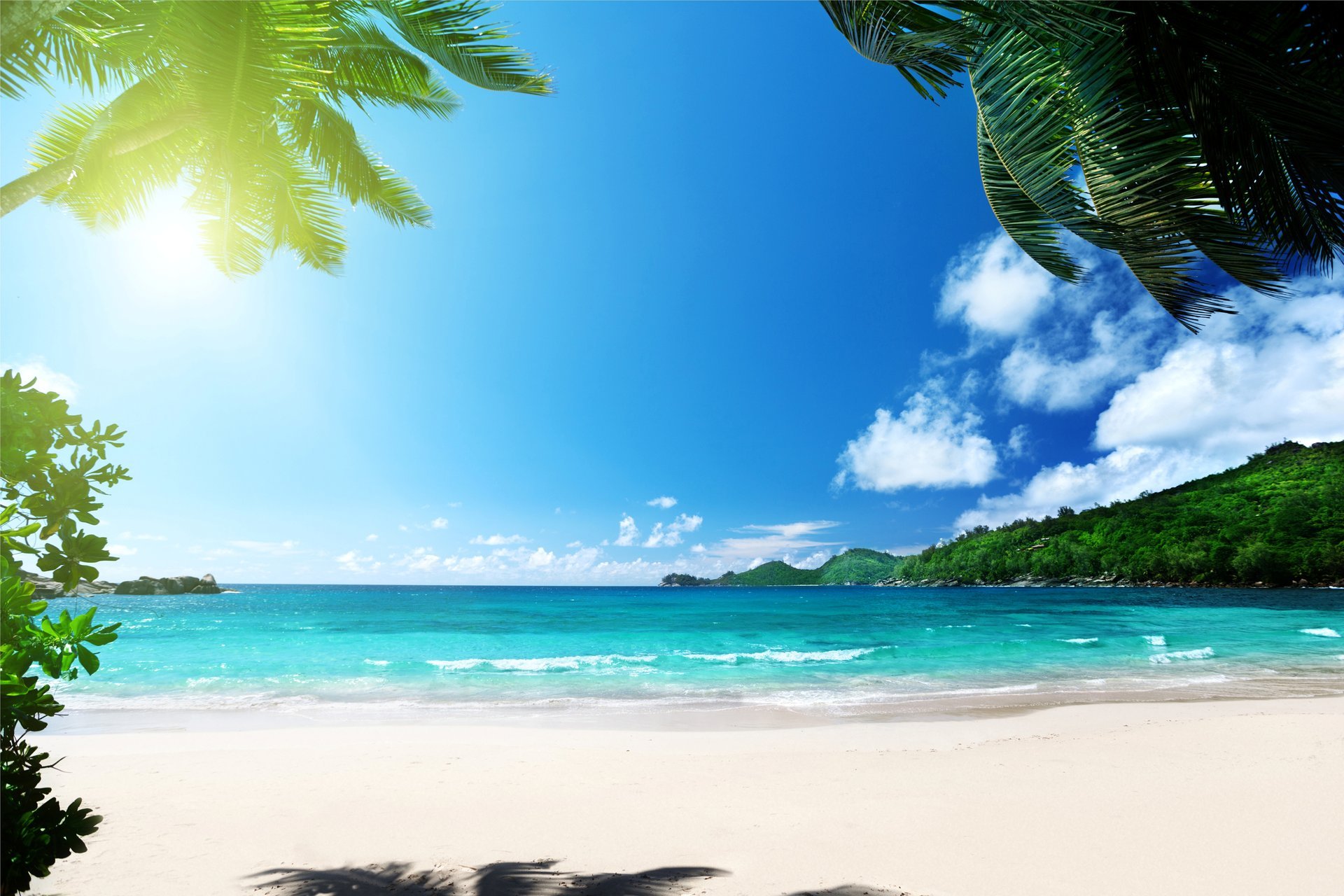 tropical paradise beach palms sea ocean sunshine summer vacation palm tropics sand