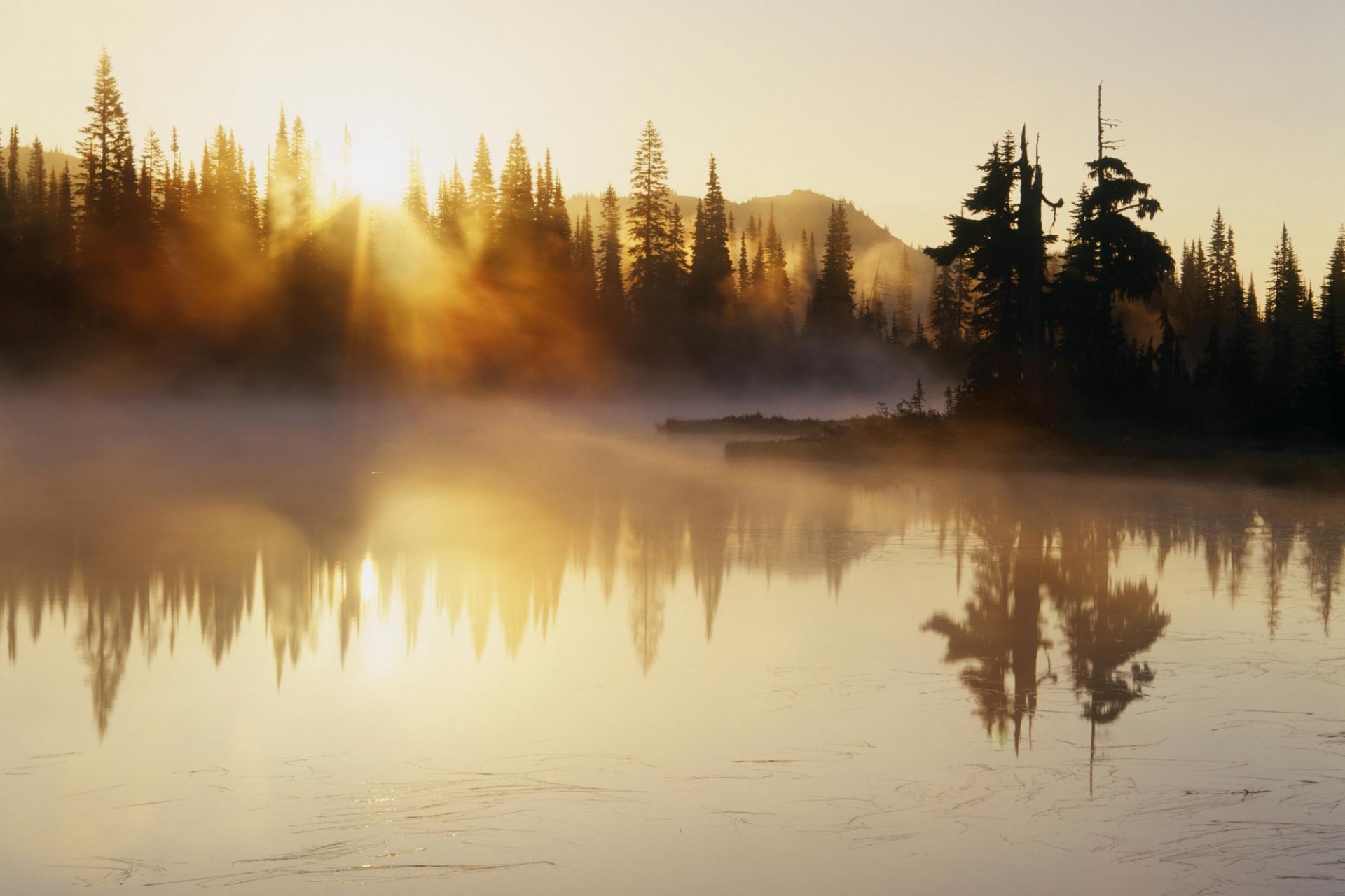 Рассвет на озере в лесу