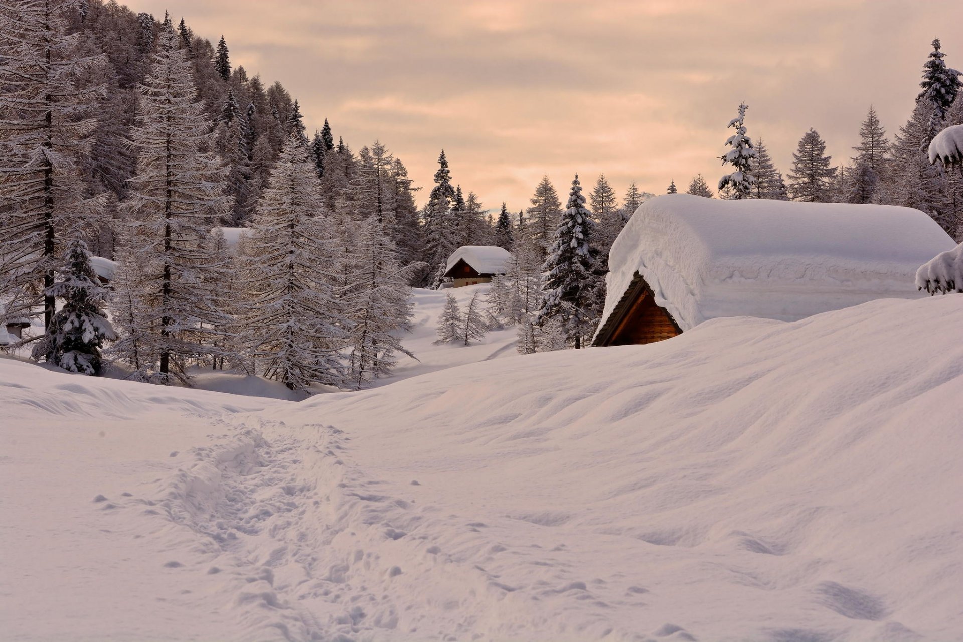 neige forêt maison hiver