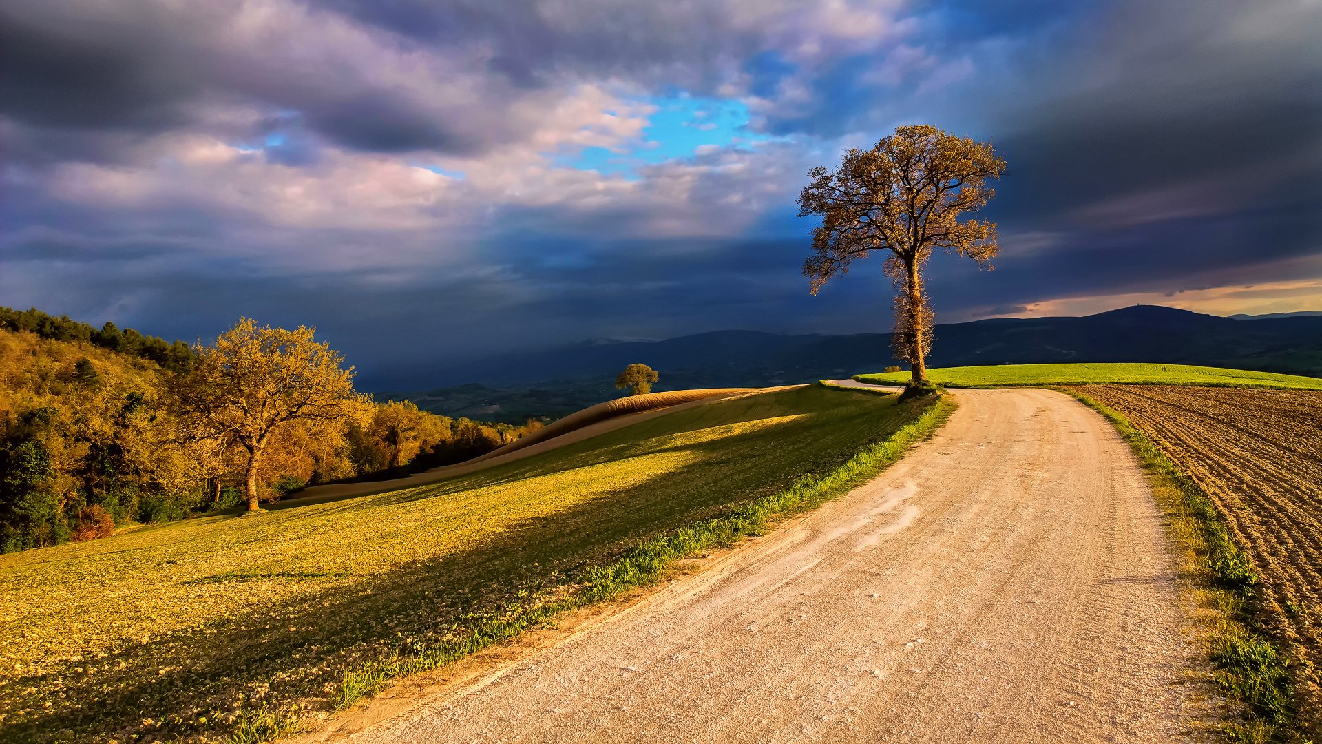 italia natura campi albero luce nuvole nuvole cielo