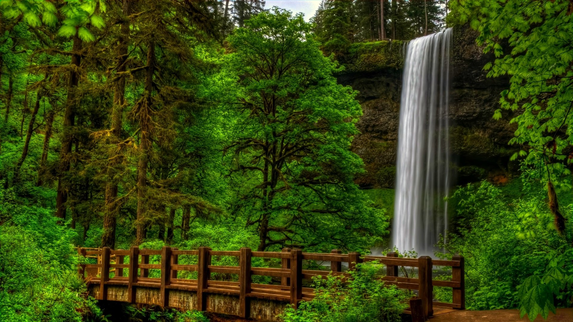 natur ansicht bäume wald park brücke wasserfall wasser landschaft ansicht