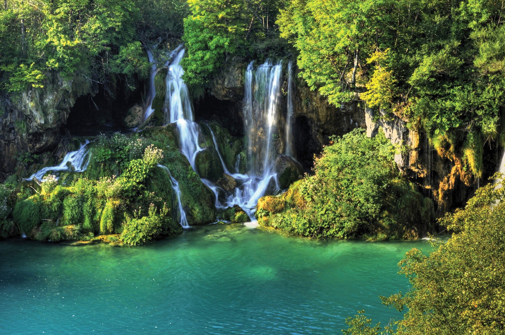 natur bäume fluss wasserfall