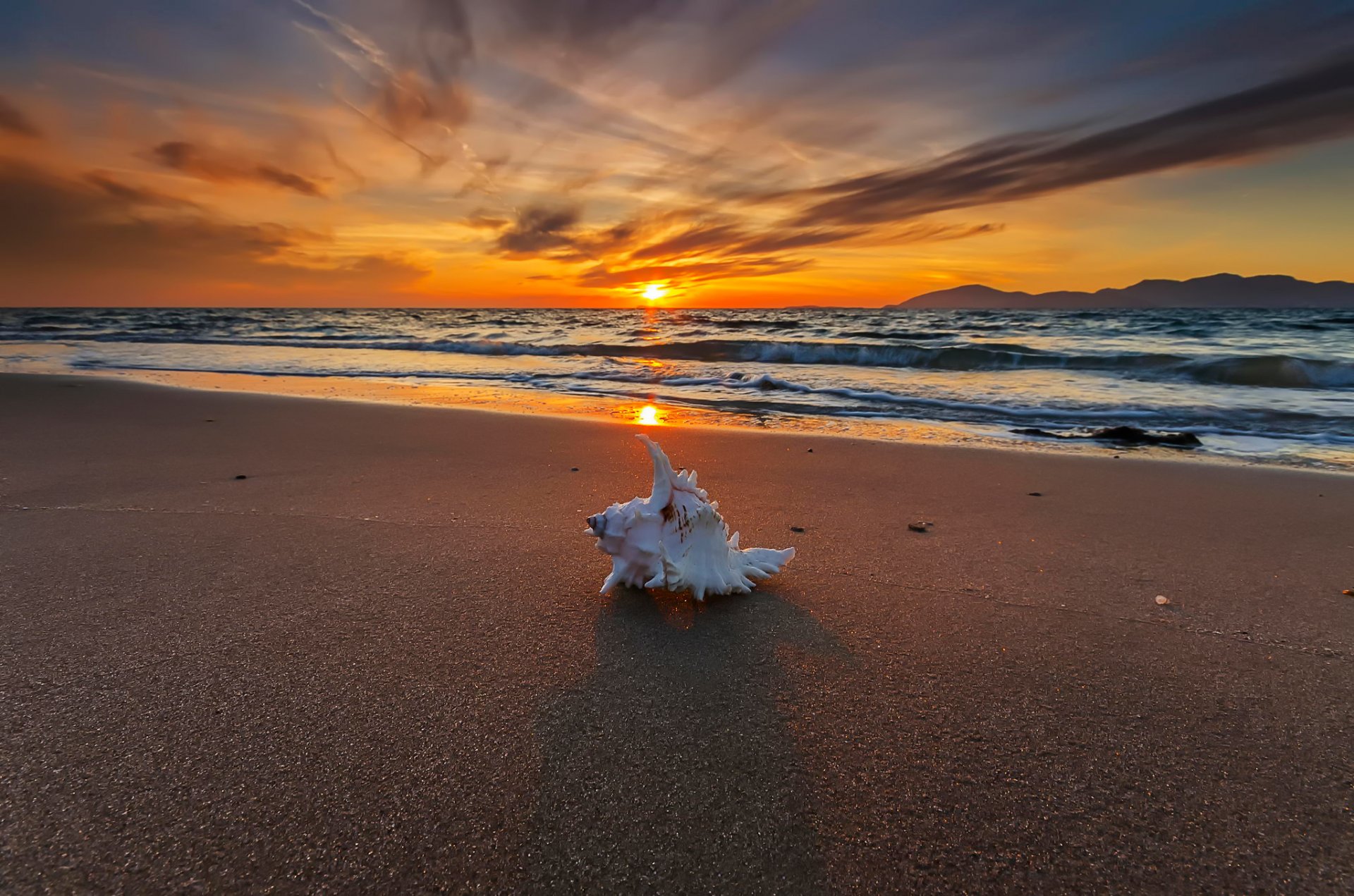 treasures of the sea beach sink waves sunset