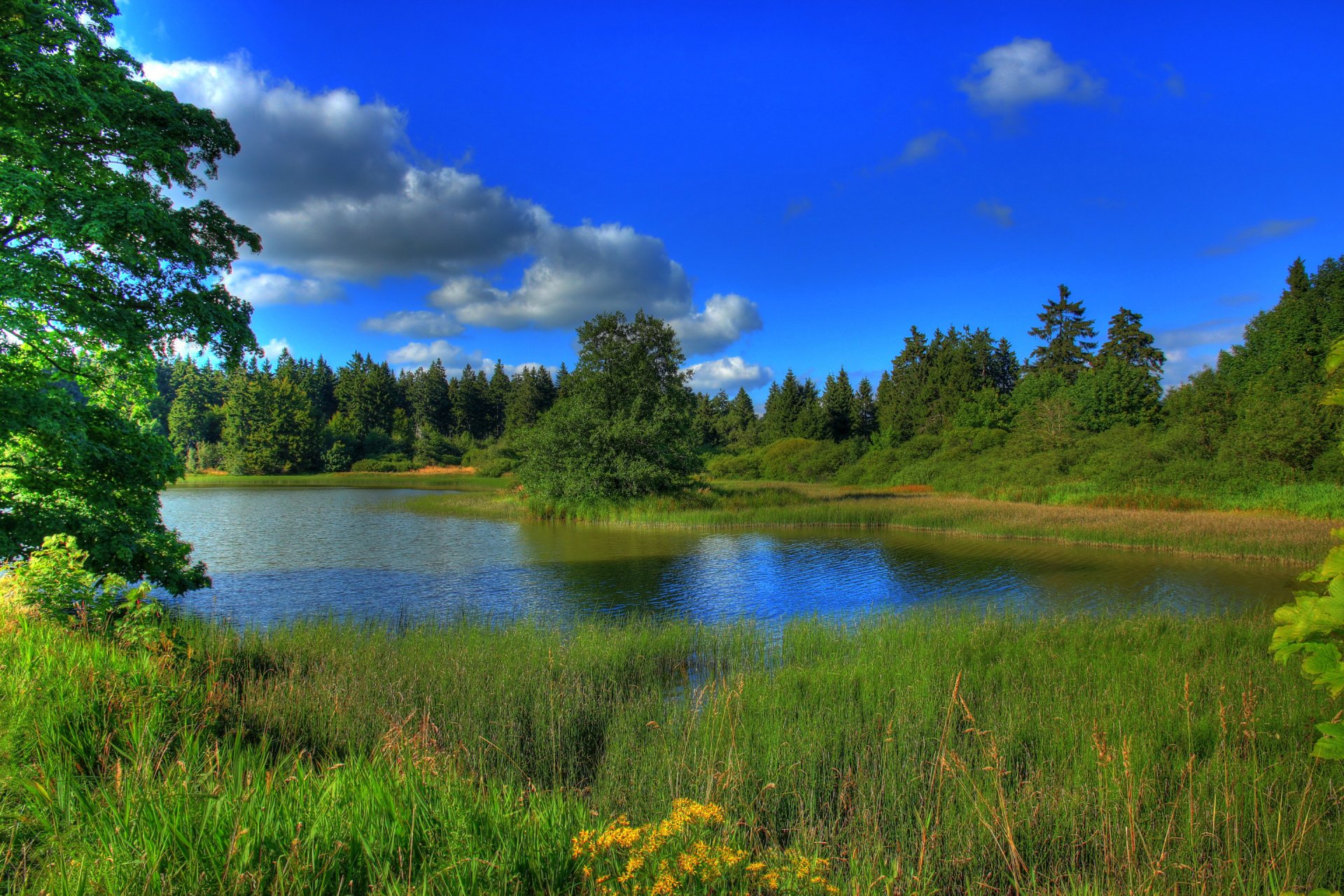 hessen germany sky clouds forest tree river lake grass landscape