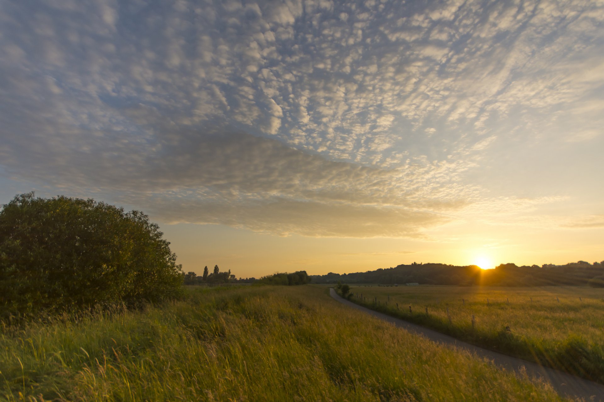 deutschland feld lichtung fußweg bäume abend sonne strahlen sonnenuntergang himmel wolken